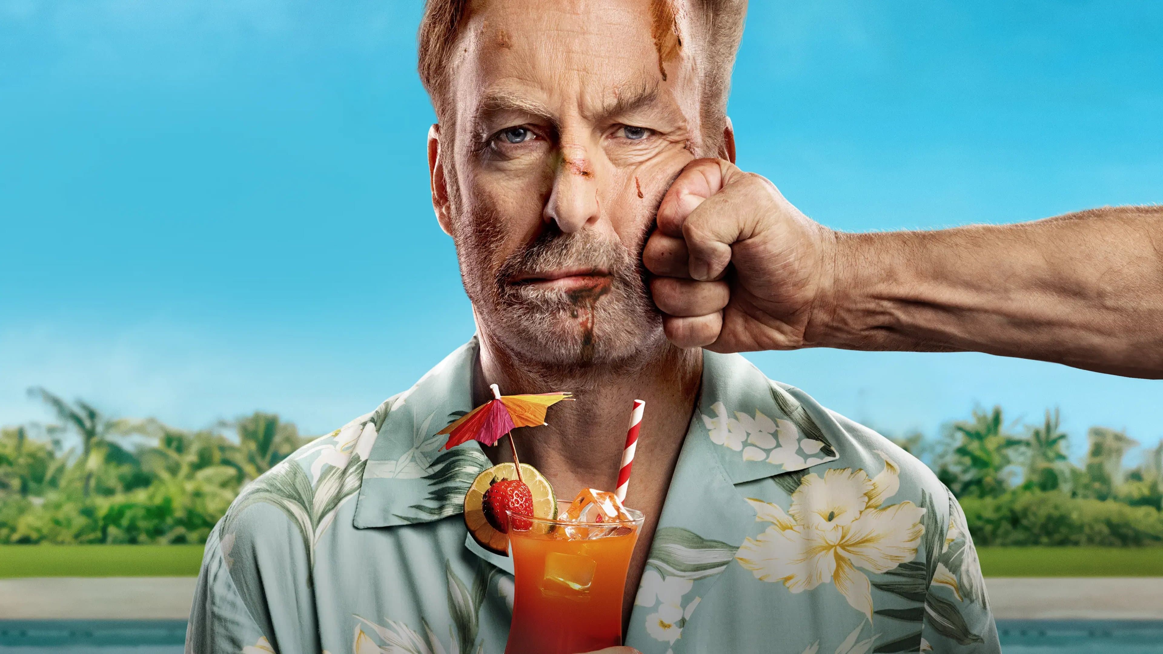 Nobody 2 Movie Cover